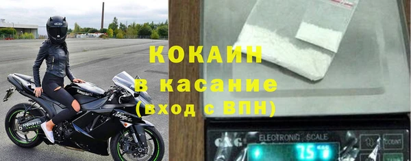 молекула духа Бородино