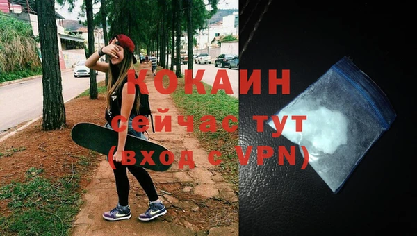 молекула духа Бородино