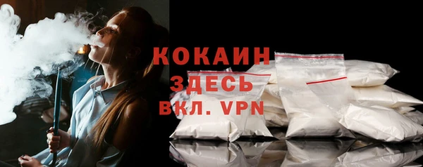 прущие грибы Беломорск